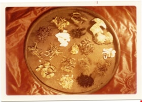 Materia medica on rack at Way Sang Yuen Wat Kee & Co, 1975 thumbnail