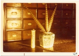 Feathers in jar on counter at Way Sang Yuen Wat Kee & Co., 1975 thumbnail