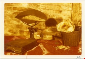 Weighted scale with grains in pan, 1975 thumbnail