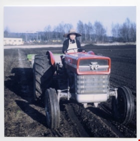 Sui Ha Hong ploughing fields at Hop-On Farm, [between 1975 and 1979] (date of original), copied 2017 thumbnail
