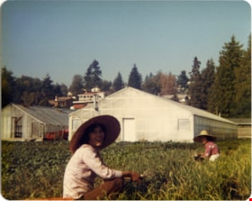 Hong family harvesting green onions at Hop-On Farm, [198-] (date of original), copied 2017 thumbnail