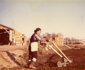 Sui Ha Hong seeding fields at Hop-On Farm, [between 1975 and 1979] (date of original), copied 2017 thumbnail