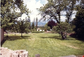 Back yard of Mawhinney house, August 1984 thumbnail