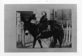 Child on donkey, 1890-1900 thumbnail