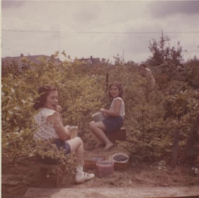 Janice Wuzinski and sister Louise picking blueberries, August 1960 thumbnail