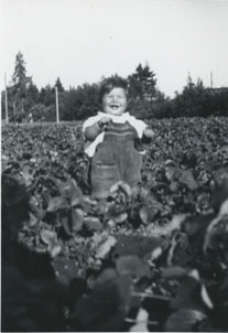 Janice Wuzinski in the strawberry field, 1949 thumbnail
