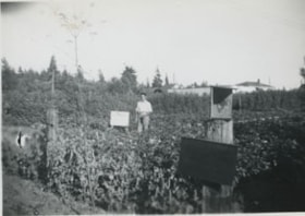 View of the Wuzinski family property on Hastings Street, [between 1940 and 1955] thumbnail