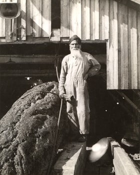 Sikh man with large log at Kapoor Sawmills Ltd., [194-] (date of original), copied 2004 thumbnail