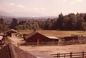 Horse paddock, 1977 thumbnail