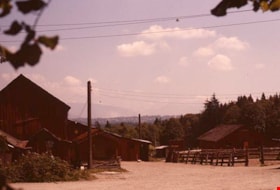 Horse paddocks and farm buildings, 1977 thumbnail