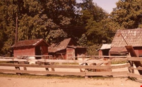 Lubbock farm buildings, 1977 thumbnail
