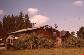 Working on roof of the Lubbock barn, 1977 thumbnail