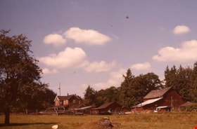 Lubbock farm, 1977 thumbnail