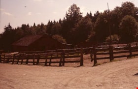 Paddock and barn, 1977 thumbnail