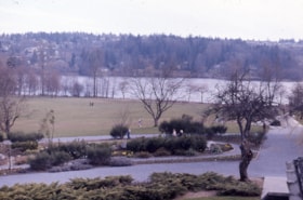 Roadway leading to Deer Lake, [1975] thumbnail