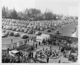 Simpsons-Sears parking lot, May 1954 thumbnail