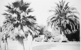 Two women with palm tree in California, [1936] (date of original), copied 1996 thumbnail