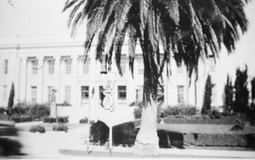 Large palm tree outside building, [1936] (date of original), copied 1996 thumbnail