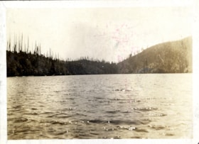Water with tree-lined shoreline, [190-] thumbnail