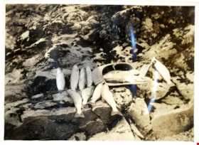 Dead fish and basket on rocky shore, [c. 1915] thumbnail