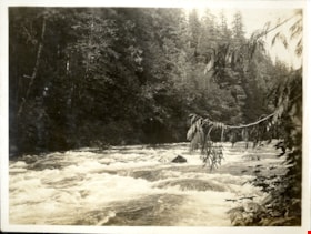View of rapids and forest, [191-] thumbnail