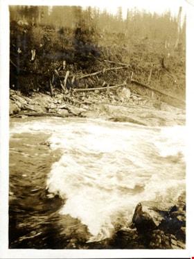 Rushing water and forest, [191-] thumbnail