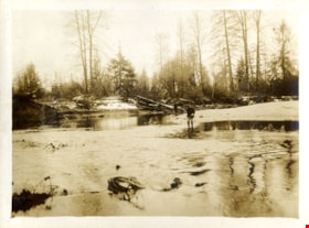 Two men fishing from shore, [191-] thumbnail