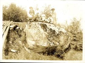 Group posed on top of a boulder, [191-] thumbnail