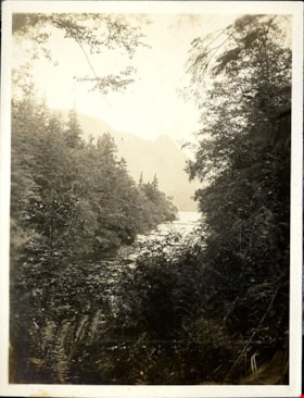 Water and forested shoreline, [191-] thumbnail