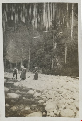 Four people on rocky shoreline, [191-] thumbnail
