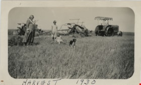 Harvest in Champion, Alberta, 1930 thumbnail