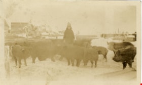 Irene and the pigs, [1927 or 1928] thumbnail