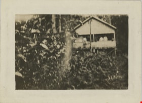 View of house through thick foliage, [191-] thumbnail