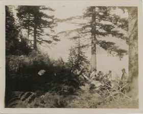 Picnic in forest, [191-] thumbnail