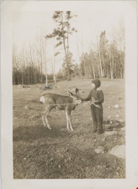 Child with deer in clearing, [194-] thumbnail