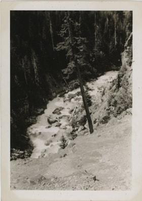 Forest and rushing creek, [194-] thumbnail