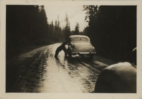 Bear peering into window of automobile, [between 1947 and 1957] thumbnail