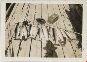 Fish laying on dock, [193-] thumbnail
