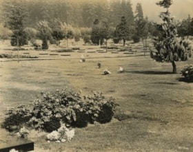Historic view of the Ocean View Burial Park, 1930. (General view of the landscaping. Historic Photo.) Copyright: City of Burnaby. Photo ID 306-002. thumbnail
